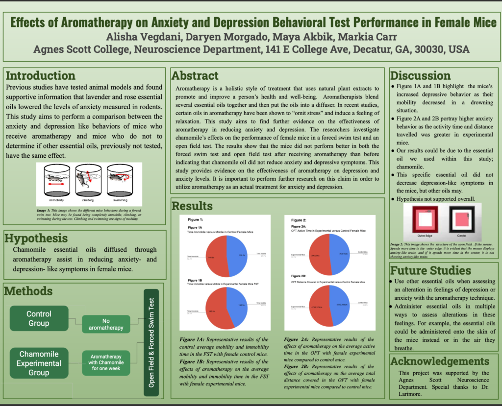 Neuroscience Slide Presentation